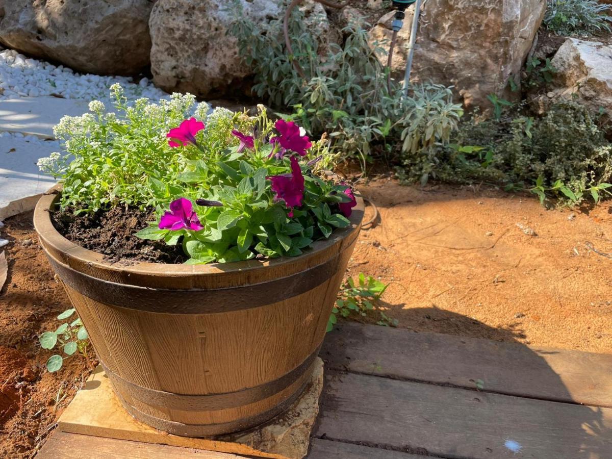 Alma Bahar - Charming 2 Bdrm House With Garden עלמה בהר - דירת אירוח בלב גן פורח Ferienhaus Zichron Ja’akow